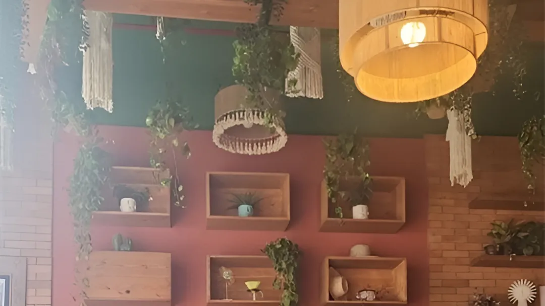 Del Sol Cafe 4